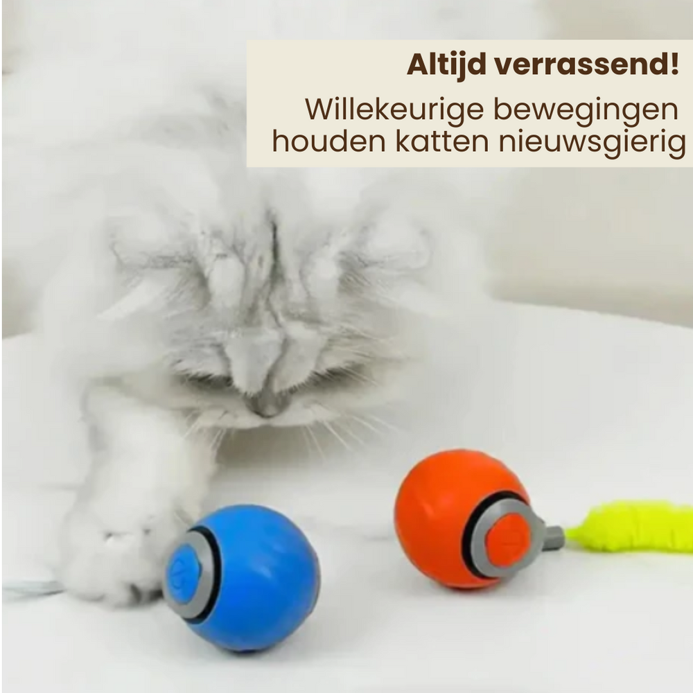 Katten Speelbal